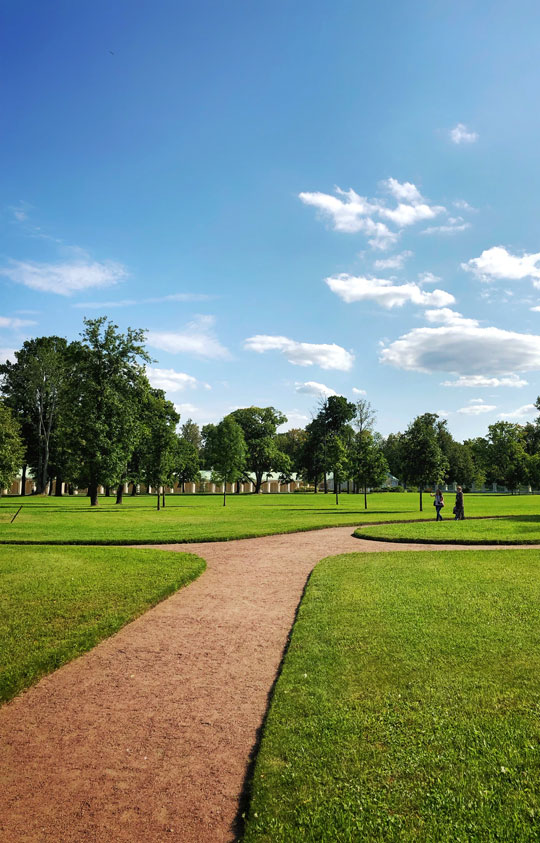 Lawns & Turf