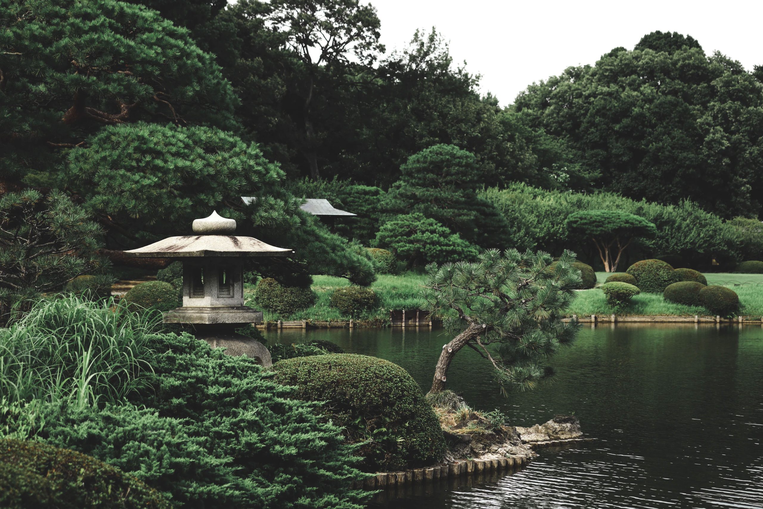 Zen Garden Trees